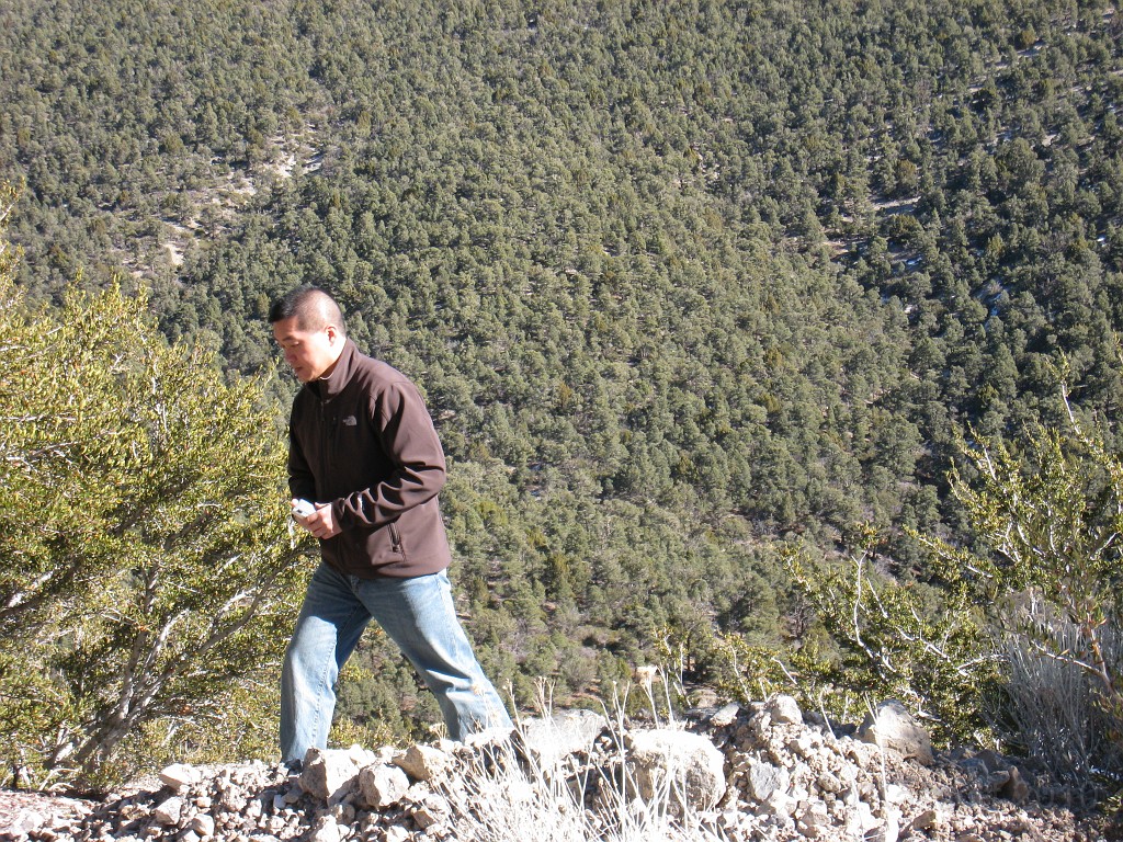 Las Vegas 2010 - Mt Charleston 0191.JPG - The 2010 Las Vegas Fire - Ice and Sweat Tour. Half Marathon, Red Rock Canyon, Casinos, Valley of Fire.... and buffets!